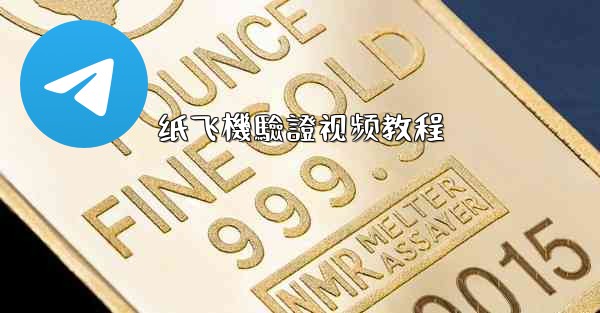 纸飞機驗證视频教程