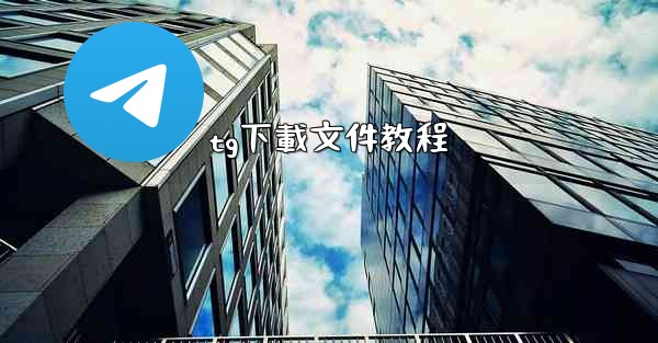 tg下載文件教程