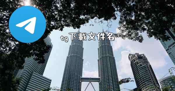 tg下載文件名