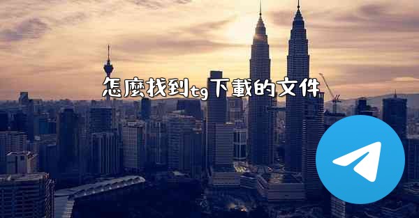 怎麼找到tg下載的文件
