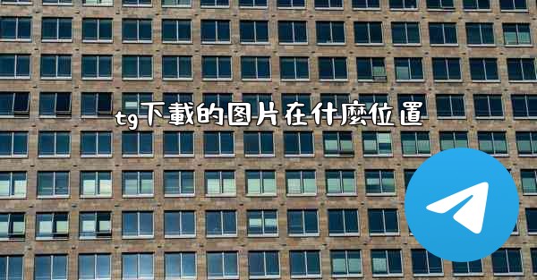 tg下載的图片在什麼位置