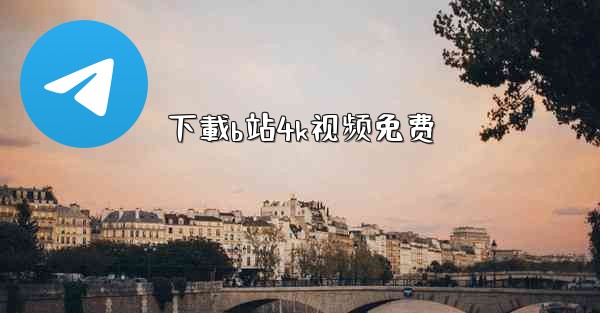 下載b站4k视频免费