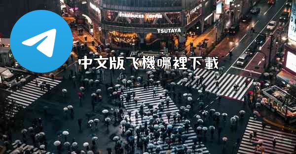 中文版飞機哪裡下載