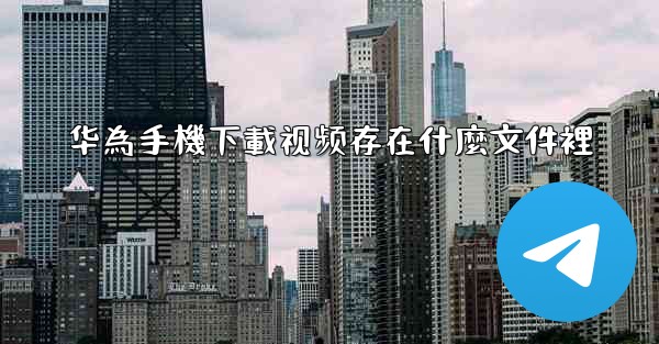 华為手機下載视频存在什麼文件裡