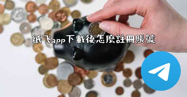 纸飞app下載後怎麼註冊賬號