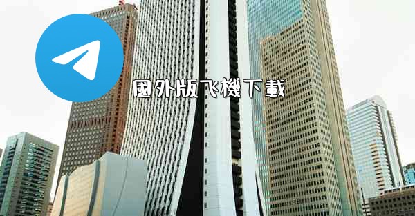 國外版飞機下載