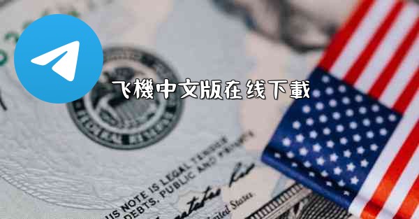 飞機中文版在线下載