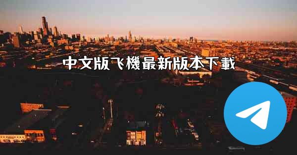 中文版飞機最新版本下載