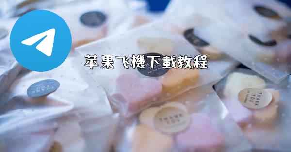 苹果飞機下載教程