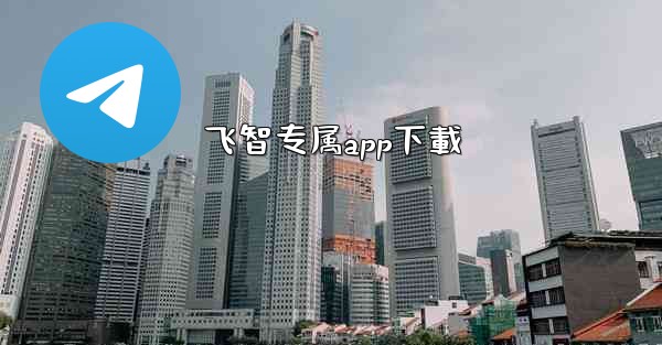 飞智专属app下載