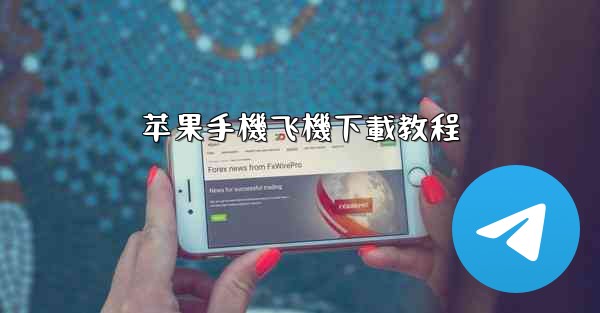 苹果手機飞機下載教程