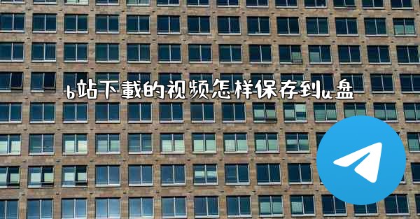 b站下載的视频怎样保存到u盘