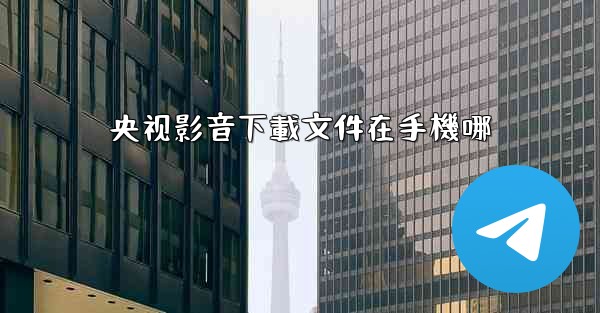 央视影音下載文件在手機哪