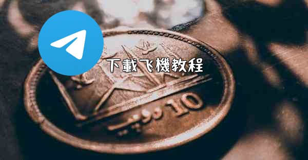 下載飞機教程