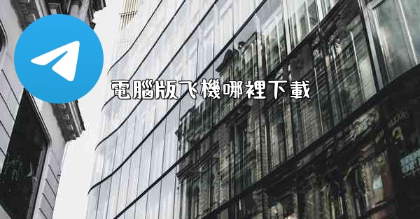 電腦版飞機哪裡下載