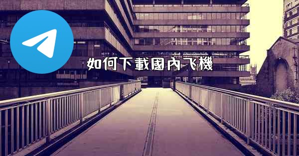 如何下載國內飞機