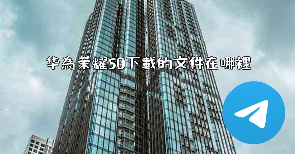 华為荣耀50下載的文件在哪裡