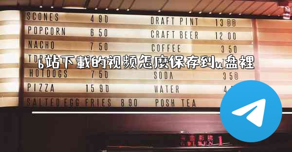 b站下載的视频怎麼保存到u盘裡