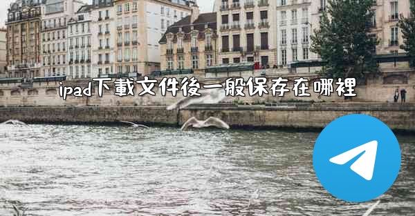 ipad下載文件後一般保存在哪裡