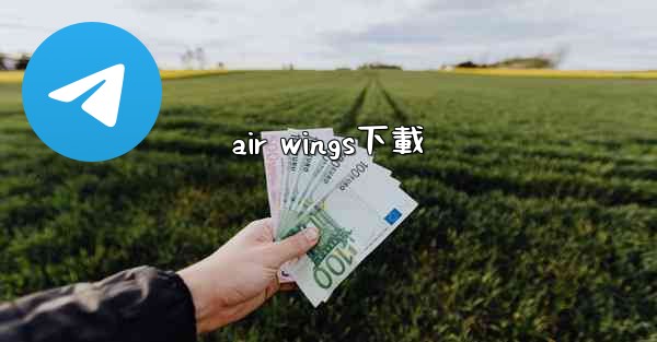 air wings下載