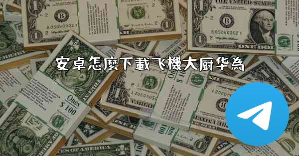 安卓怎麼下載飞機大厨华為