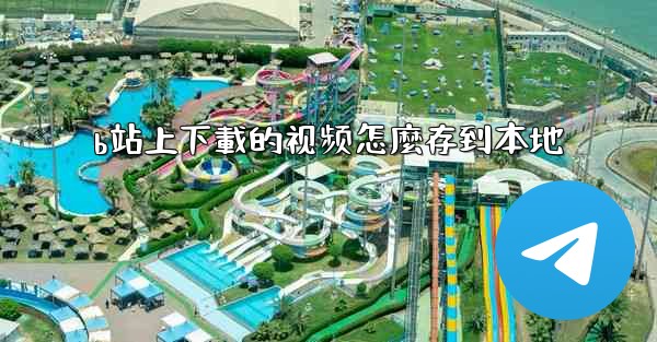 b站上下載的视频怎麼存到本地