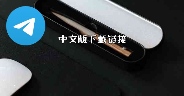 中文版下載链接