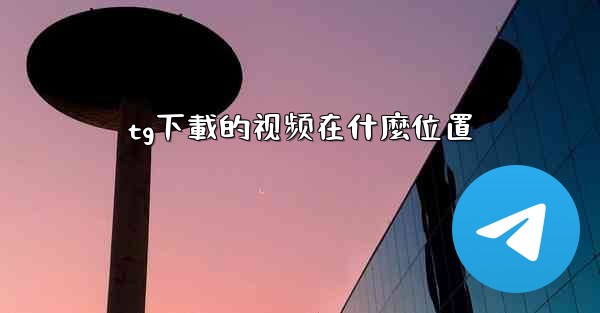 tg下載的视频在什麼位置