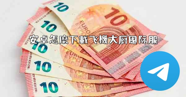 安卓怎麼下載飞機大厨國际服