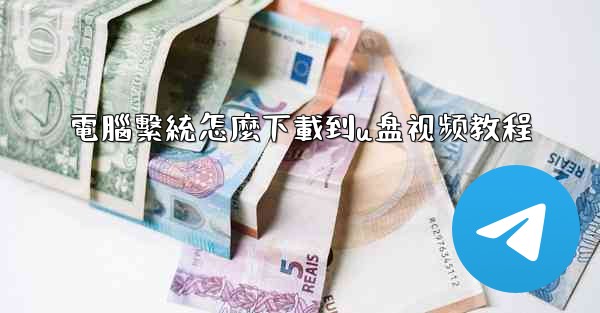 電腦繫統怎麼下載到u盘视频教程