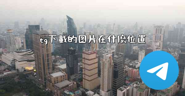 tg下載的图片在什麼位置