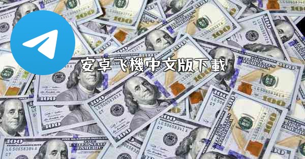 安卓飞機中文版下載