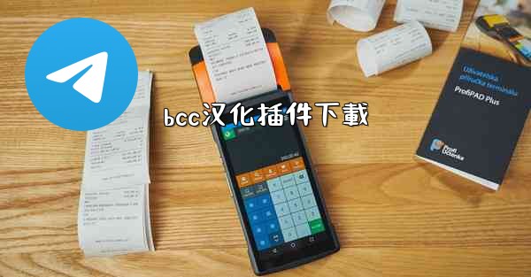 bcc汉化插件下載