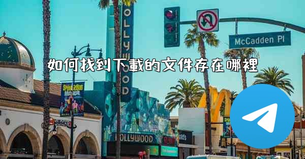 如何找到下載的文件存在哪裡