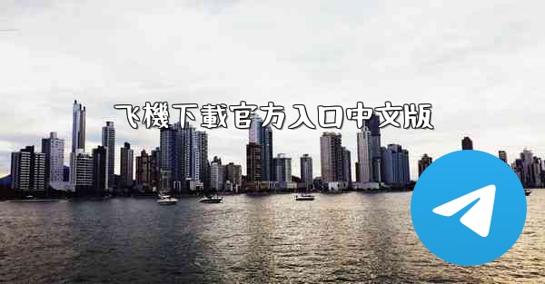 飞機下載官方入口中文版