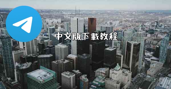 中文版下載教程