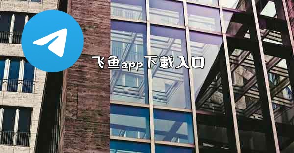 飞鱼app下載入口