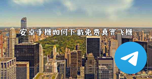 安卓手機如何下載免费真實飞機