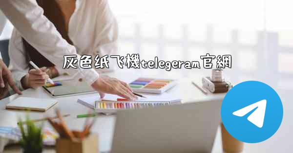 灰色纸飞機telegeram官網