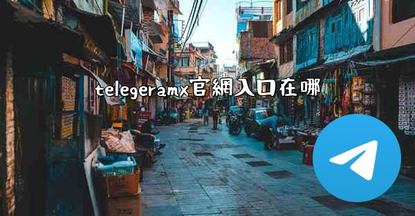 telegeramx官網入口在哪
