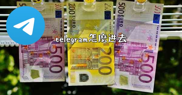 telegram怎麼进去