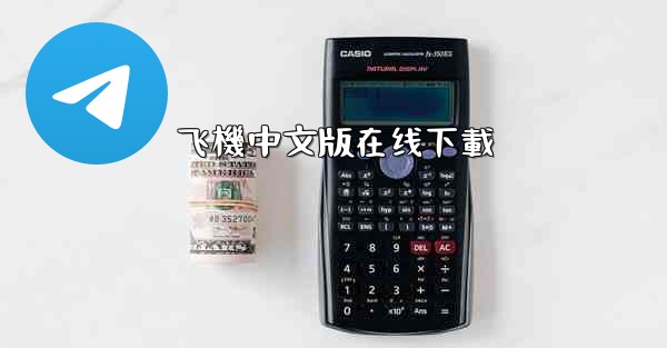 飞機中文版在线下載