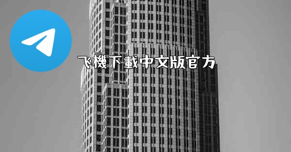 飞機下載中文版官方