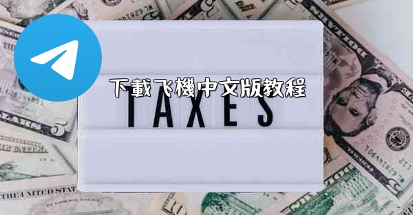 下載飞機中文版教程