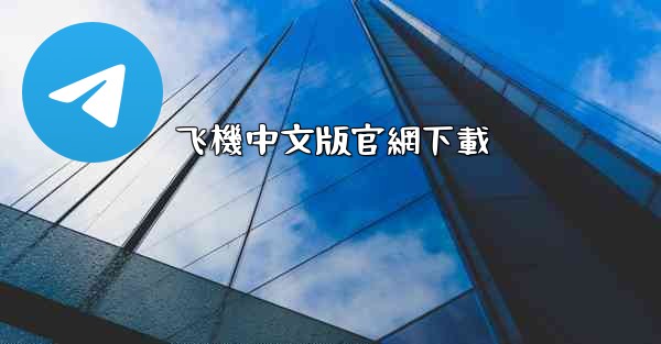 飞機中文版官網下載