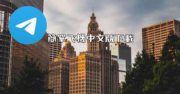 簡單飞機中文版下載