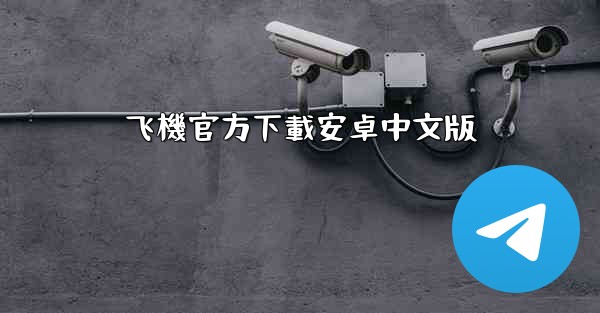 飞機官方下載安卓中文版