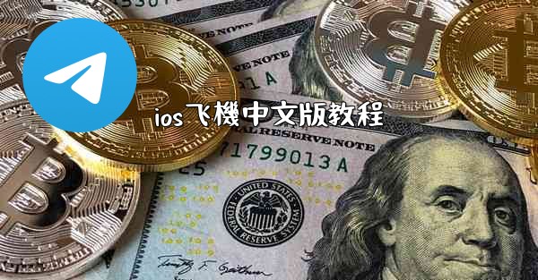 ios飞機中文版教程