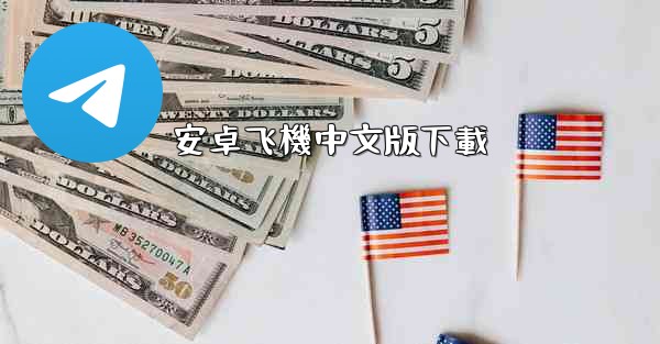 安卓飞機中文版下載