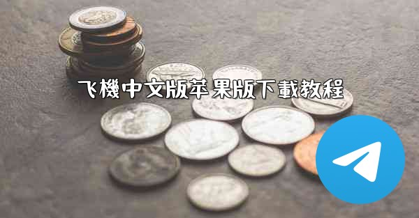 飞機中文版苹果版下載教程